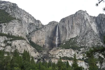 DSC_4647 (Large).JPG